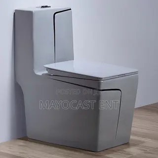 Luxury Toilet Seat ~ Water Closet