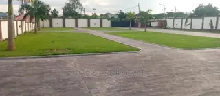 Oasis Landscapes and More