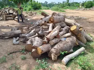 Firewood for Sale
