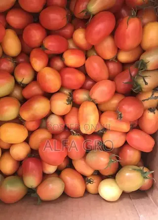 Tomatoes Cherry(200 in Carton).