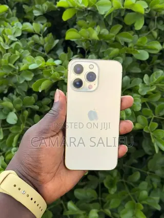 Apple iPhone 13 Pro 256 GB Gold