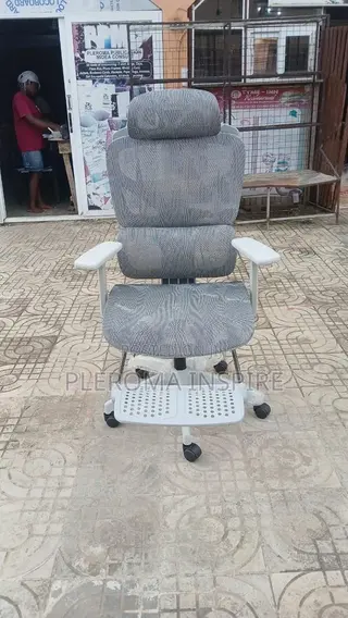 Spinal Cord Support Chair Office Chair