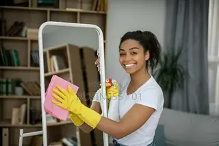 Cleaning Services( SPOTLESS)