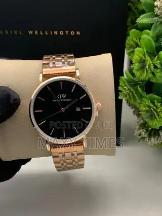 Daniel Wellington Stainless Watches