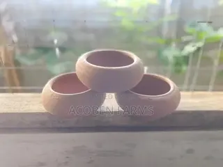 Rabbit Clay Feeding Pot