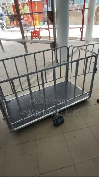 300kg Digital Platform Scale