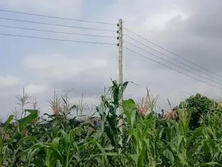 Land for Sale at Ejisu Besease