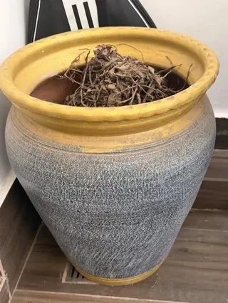 Plant Pot 2 Pieces