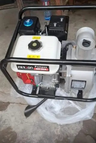 PERSON Wp30x Water Pump.