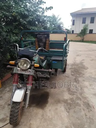 Tricycle 2023 Green