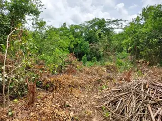 2 Acres Roadside (Main Highway) Residential/Commercial Land