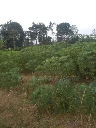 Farm Land for Sale