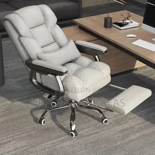 Soft Ergonomic Office Chair