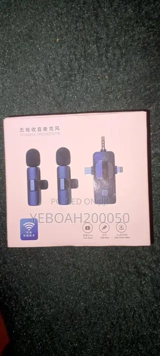 Professional 4 in 1 Wireless Microphone