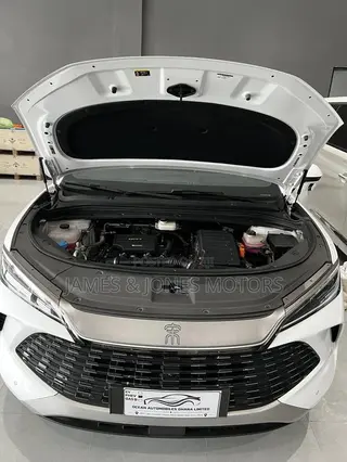 BYD Song L DM-i 2025 White