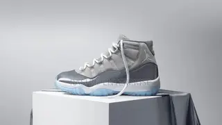 Air Jordan 11 Retro