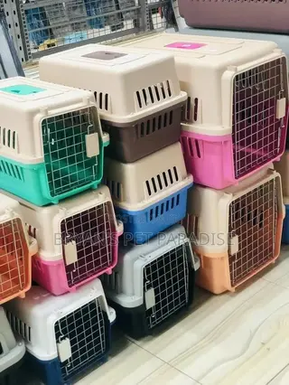 Small Size Plastic Cages
