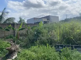 Plots of Land (Fenced)for Sale Doboro Near Blue Skies Company Limited