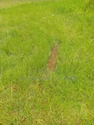 Full Plot of Land at Mfensi