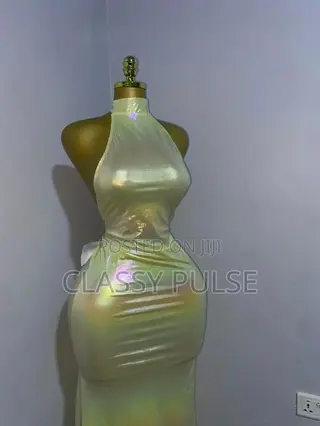 Ladies Dress