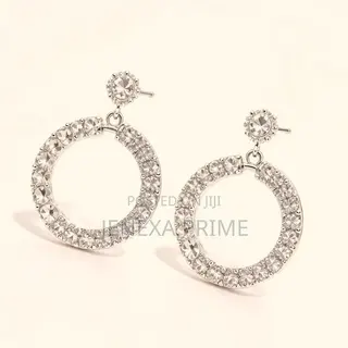 Elegant Silver Crystals Hoop Earrings