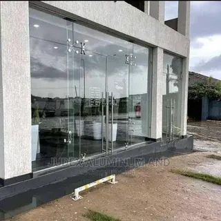 Entrance Frameless Doors