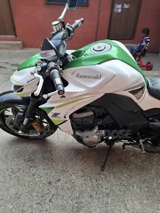 Kawasaki 2019 White