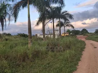 Develop Community in Akotsi