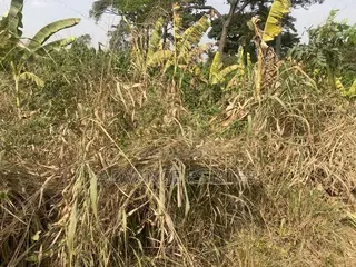 Land for Sale at Donyina, Tech
