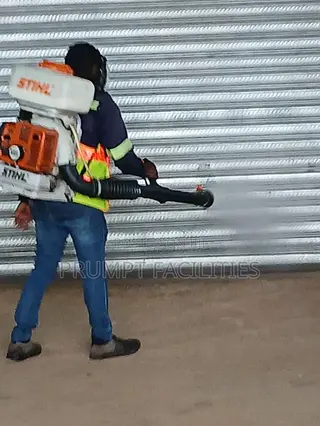 Fumigation Against Bedbugs