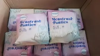 Disposable Menstrual Pants 5pcs Pack – Period Postpartum Protection