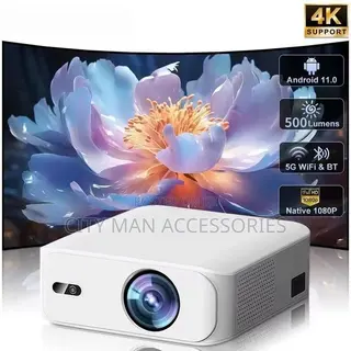 Display Projector