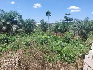 8 Plots of Land for Sale in Assin Foso Township