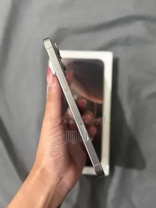Apple iPhone 16 Pro Max 512 GB Silver