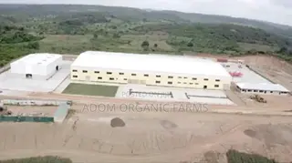 3 Acres of Land for Sale Behind Ekumfi Juice Factory Mankesim Road
