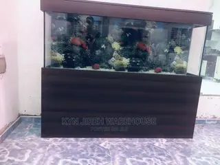 Coffee Aquarium With Fishes
