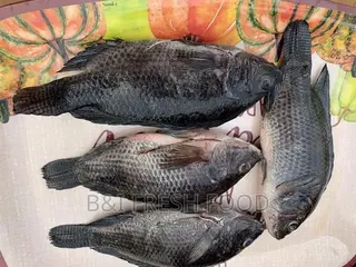 Local Fresh Tilapia