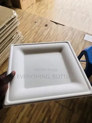 Biodegradable Disposable Paper Plates (Square)
