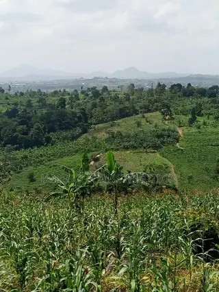 Farmland for Sale at Asuboi