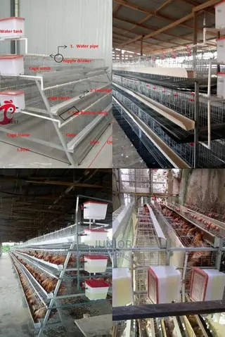 Strongest Chicken Cages