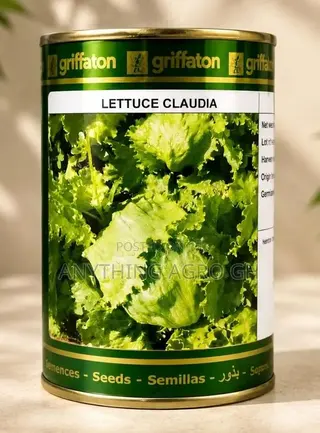 Lettuce Claudia