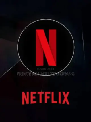 Netflix Premium Accounts
