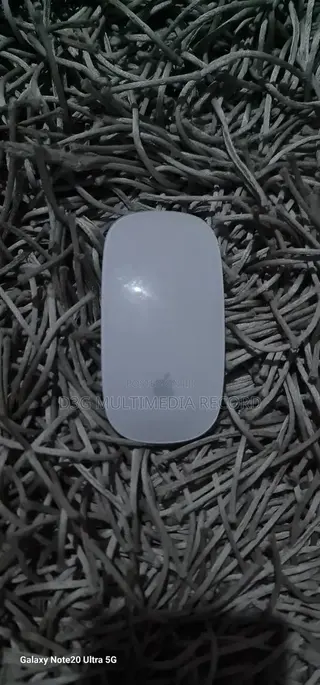 Apple Magic Mouse 1