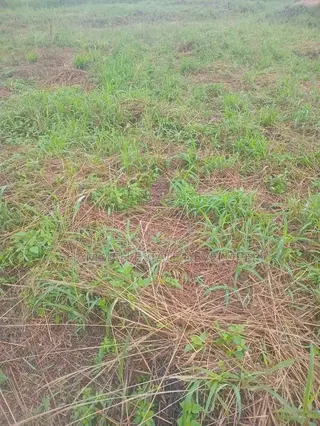 Farmland for Sale