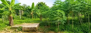 A Road Side Land at Tuska Opposite Akwamuman SHS Is for Sale