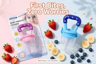 Baby Fruit Pacifier