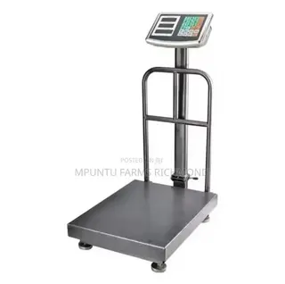 Scale (Electronic Platform Scale)