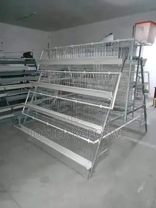 Chicken Cages