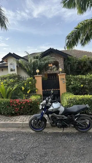 Yamaha MT-09 2017 Gray