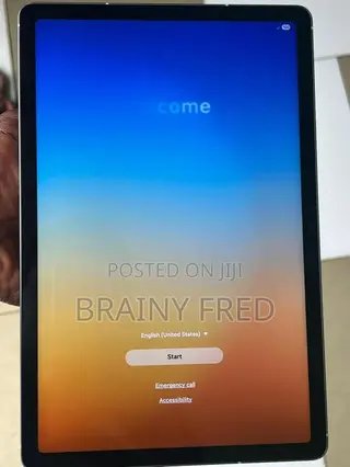 Samsung Galaxy Tab S10 FE 256 GB Gray